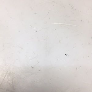 Meet your Posher, Mike